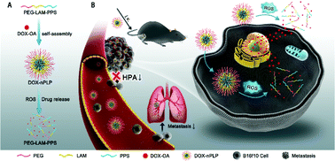 Graphical abstract: Enhanced anti-metastatic therapy with down-regulation of heparinase expression by ROS-responsive micellar nanoparticles