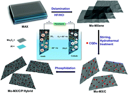 Graphical abstract: Phosphorus-decorated Mo-MXene/CQD hybrid: a 2D/0D architecture for bifunctional electrochemical water splitting