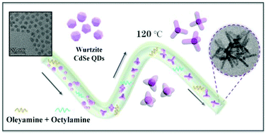 Graphical abstract: Low-temperature synthesis of tetrapod CdSe/CdS quantum dots through a microfluidic reactor
