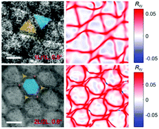 Graphical abstract: Layer-dependent interface reconstruction and strain modulation in twisted WSe2