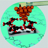 Graphical abstract: Hydrogen bonded trimesic acid networks on Cu(111) reveal how basic chemical properties are imprinted in HR-AFM images