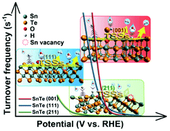 Graphical abstract: Role of topological surface states and mirror symmetry in topological crystalline insulator SnTe as an efficient electrocatalyst