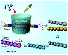 Graphical abstract: A novel nanosphere-in-nanotube iron phosphide Li-ion battery anode displaying a long cycle life, recoverable rate-performance, and temperature tolerance