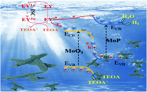 Graphical abstract: MoP@MoO3 S-scheme heterojunction in situ construction with phosphating MoO3 for high-efficient photocatalytic hydrogen production