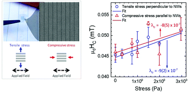 Graphical abstract: Reply to the ‘Comment on “Ultralow magnetostrictive flexible ferromagnetic nanowires”’ by D. Faurie, N. Challab, M. Haboussi, and F. Zighem, Nanoscale, 2022, 14, DOI: 10.1039/D1NR01773J