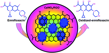 Graphical abstract: A novel electrochemical sensor for the detection of enrofloxacin based on a 3D flower-like metal tungstate-incorporated reduced graphene oxide nanocomposite