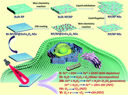 Graphical abstract: Synthesis of red/black phosphorus-based composite nanosheets with a Z-scheme heterostructure for high-performance cancer phototherapy