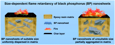 Graphical abstract: Size-dependent flame retardancy of black phosphorus nanosheets