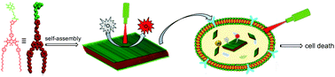 Graphical abstract: Biotin-decorated NIR-absorbing nanosheets for targeted photodynamic cancer therapy