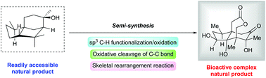 Graphical abstract: Contemporary advancements in the semi-synthesis of bioactive terpenoids and steroids