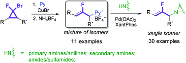 Graphical abstract: (2-Fluoroallyl)pyridinium tetrafluoroborates: novel fluorinated electrophiles for Pd-catalyzed allylic substitution