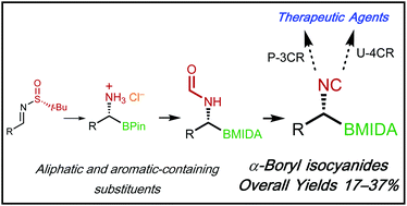 Graphical abstract: Straightforward synthesis of chiral non-racemic α-boryl isocyanides