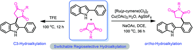 Graphical abstract: Switchable regioselective hydroalkylation of 2-arylindoles with maleimides