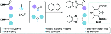 Graphical abstract: Visible-light-promoted photocatalyst-free alkylation and acylation of benzothiazoles