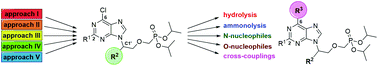 Graphical abstract: Diverse synthetic approaches towards C1′-branched acyclic nucleoside phosphonates