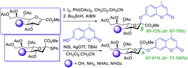 Graphical abstract: Facile anomer-oriented syntheses of 4-methylumbelliferyl sialic acid glycosides