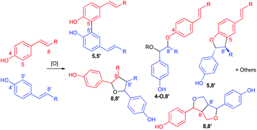 Graphical abstract: Oxidative dehydrogenative couplings of alkenyl phenols
