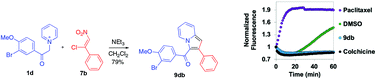 Graphical abstract: [3 + 2]-Annulation of pyridinium ylides with 1-chloro-2-nitrostyrenes unveils a tubulin polymerization inhibitor