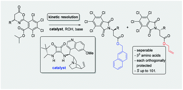 Graphical abstract: The kinetic resolution of oxazinones by alcoholysis: access to orthogonally protected β-amino acids