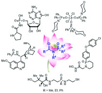 Graphical abstract: Recent advances in the synthesis and applications of phosphoramides