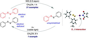 Graphical abstract: Disulfide metathesis via sulfur⋯iodine interaction and photoswitchability