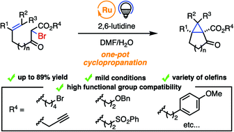 Graphical abstract: Photoredox-catalyzed intramolecular cyclopropanation of alkenes with α-bromo-β-keto esters