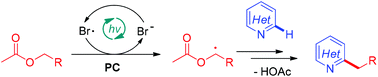 Graphical abstract: Visible-light- and bromide-mediated photoredox Minisci alkylation of N-heteroarenes with ester acetates