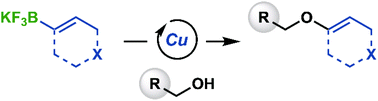 Graphical abstract: A Chan–Evans–Lam approach to trisubstituted vinyl ethers