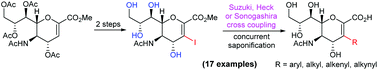 Graphical abstract: Direct access to various C3-substituted sialyl glycal derivatives from 3-iodo-sialyl glycals
