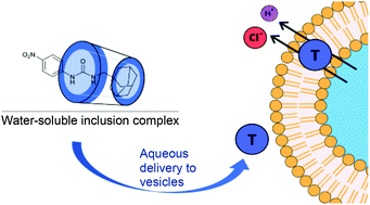 Graphical abstract: Delivering anion transporters to lipid bilayers in water