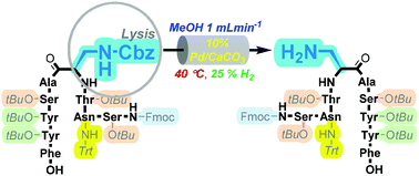 Graphical abstract: A flow-based transition-metal-catalysed hydrogenolysis strategy to facilitate peptide side-chain deprotection