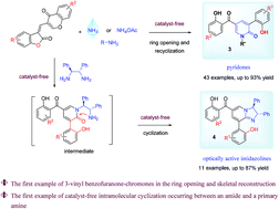 Graphical abstract: Ring opening and skeletal reconstruction of 3-vinyl benzofuranone-chromone synthons: catalyst-free access to skeletally-diverse 2-pyridone and optically active imidazoline derivatives