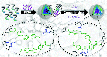 Graphical abstract: Stabilizing self-assembled nano-objects using light-driven tetrazole chemistry