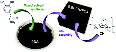 Graphical abstract: Mixed solvent synthesis of polydopamine nanospheres for sustainable multilayer flame retardant nanocoating