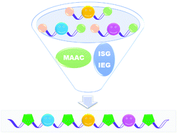 Graphical abstract: 1,2,3-Triazole-based sequence-defined oligomers and polymers