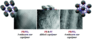 Graphical abstract: Synthesis, characterization and self-assembly of linear and miktoarm star copolymers of exclusively immiscible polydienes