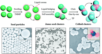 Graphical abstract: Particle-click-particle: colloidal clusters from click seeded emulsion polymerization