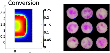 Graphical abstract: Experimental validation of eosin-mediated photo-redox polymerization mechanism and implications for signal amplification applications