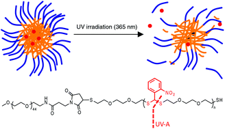 Graphical abstract: Photo cleavable thioacetal block copolymers for controlled release