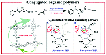 Graphical abstract: Multipath oxygen-mediated PET-RAFT polymerization by a conjugated organic polymer photocatalyst under red LED irradiation