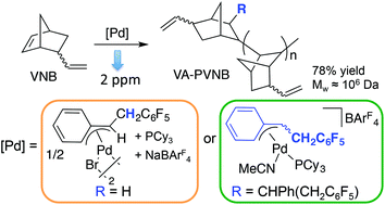 Graphical abstract: Highly efficient vinylic addition polymerization of 5-vinyl-2-norbornene using benzylic palladium complexes as precatalysts