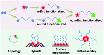 Graphical abstract: End-functionalized polymers by controlled/living radical polymerizations: synthesis and applications