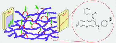 Graphical abstract: Polyrhodamine: a redox stable conducting polyelectrolyte