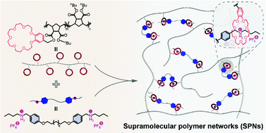 Graphical abstract: Supramolecular polymer networks crosslinked by crown ether-based host–guest recognition: dynamic materials with tailored mechanical properties in the bulk