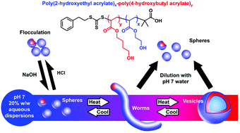 Graphical abstract: RAFT aqueous dispersion polymerization of 4-hydroxybutyl acrylate: effect of end-group ionization on the formation and colloidal stability of sterically-stabilized diblock copolymer nanoparticles