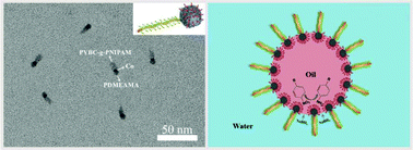 Graphical abstract: Multi-stimuli-responsive bottlebrush-colloid Janus nanoparticles toward emulsion interfacial manipulation and catalysis