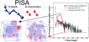 Graphical abstract: Simulation of the RAFT polymerization in 3D: steric restrictions and incompatibility between species