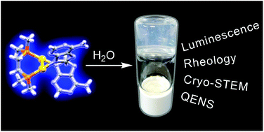 Graphical abstract: Multidisciplinary study on the hydrogelation of the digold(i) complex [{Au(9N-adeninate)}2(μ-dmpe)]: optical, rheological, and quasi-elastic neutron scattering perspectives