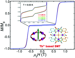 Graphical abstract: Toroidal magnetic moments in Tb4 squares