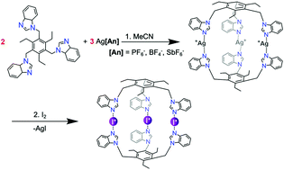 Graphical abstract: Dimeric iodine(i) and silver(i) cages from tripodal N-donor ligands via the [N–Ag–N]+ to [N–I–N]+ cation exchange reaction